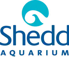 Shedd Aquarium 優惠券代碼
